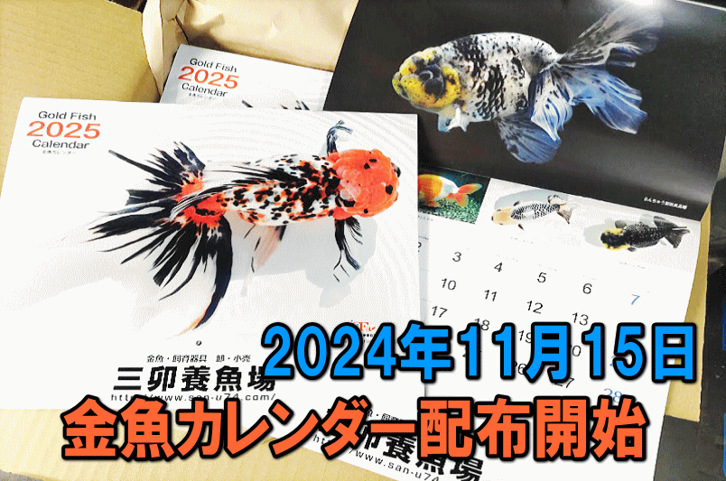 三卯養魚場 金魚・らんちゅう飼育器具販売三卯養魚場ヤフオク!